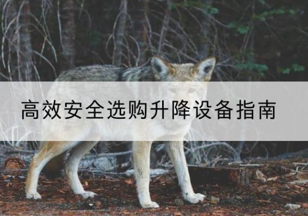 元宝山升降货梯厂家推荐-*安全选购升降设备指南