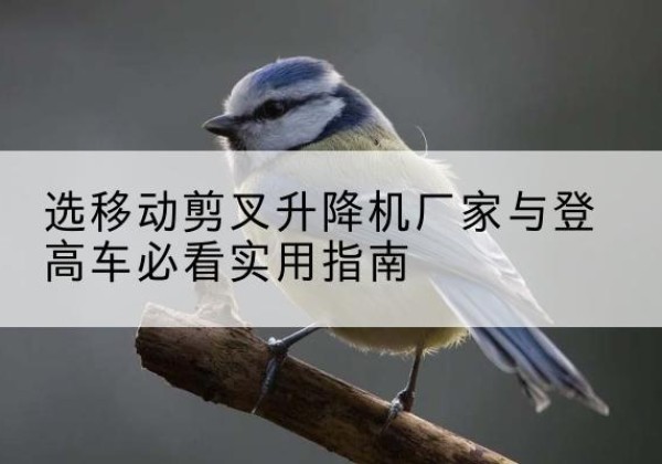元宝山电动升降机厂家-选移动剪叉升降机厂家与登高车必看实用指南